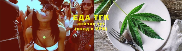 дживик Магас