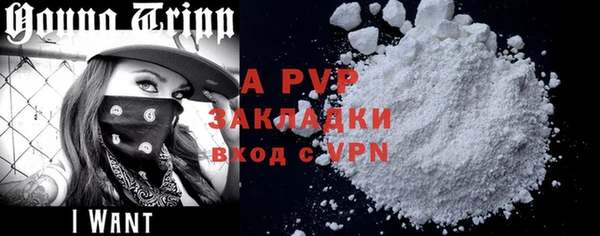 дживик Магас